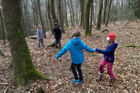 Bild vergrößert sich per Mausklick: Schulprogramm Wald