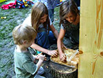 Bild vergrößert sich bei Mausklick; Kinder bauen ein Insektenhotel