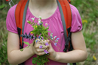 Bild vergrößert sich per Mausklick: Kind mit Blüten in der Hand, Foto: Julia Groothedde-Kollert