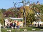 Bild vergrößert sich per Mausklick: Stadtoase Kronach mit Burg im Hintergrund