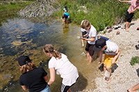 Bild vergrößert sich per Mausklick: Kinder untersuchen das Leben im Gewässer, Foto: Umweltstation Dingolfing-Landau