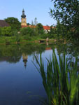 Bild vergrößert sich per Mausklick - Biotop Kloster Ensdorf