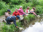 Bild vergrößert sich per Mausklick: Wasseraktion - Kindergarten am Teich