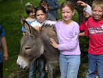 Bild vergrößert sich per Mausklick: Wildpark Sommerhausen - Kinder mit einem Esel