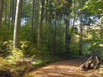 Bild vergrößert sich per Mauklick: Walderlebniszentrum Gramschatzer Wald